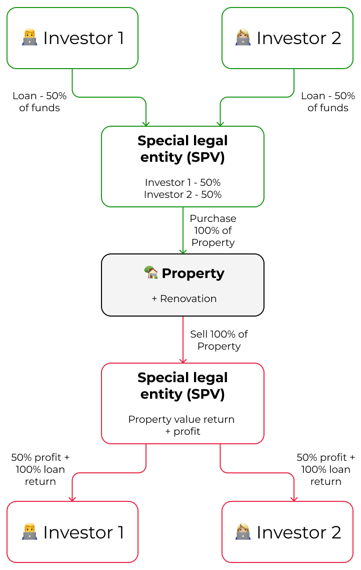 Co-Investment Process Diagram